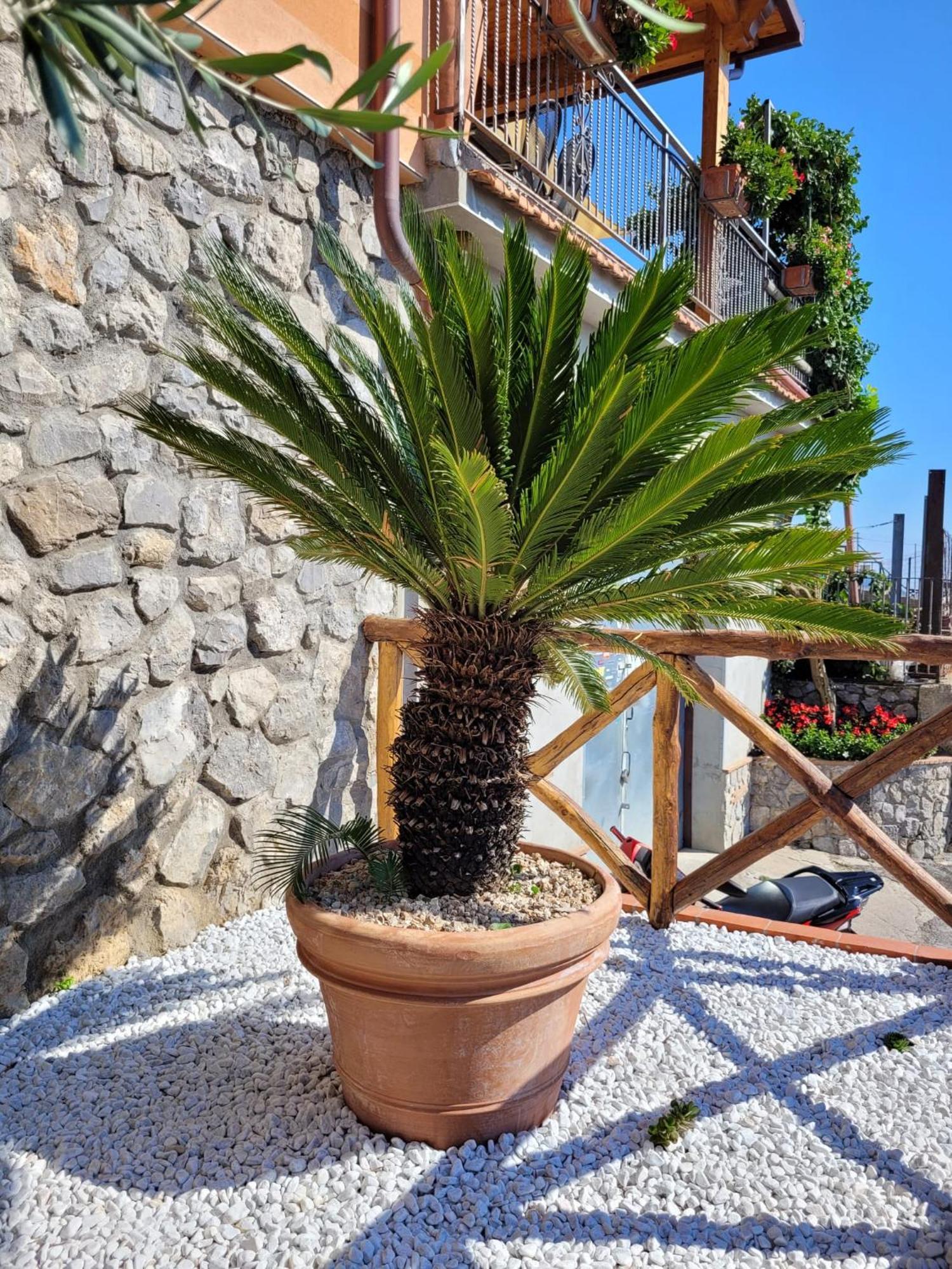 Holiday Luigi E Rachele Равелло Экстерьер фото